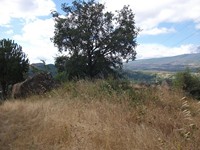 gale-20120725 089